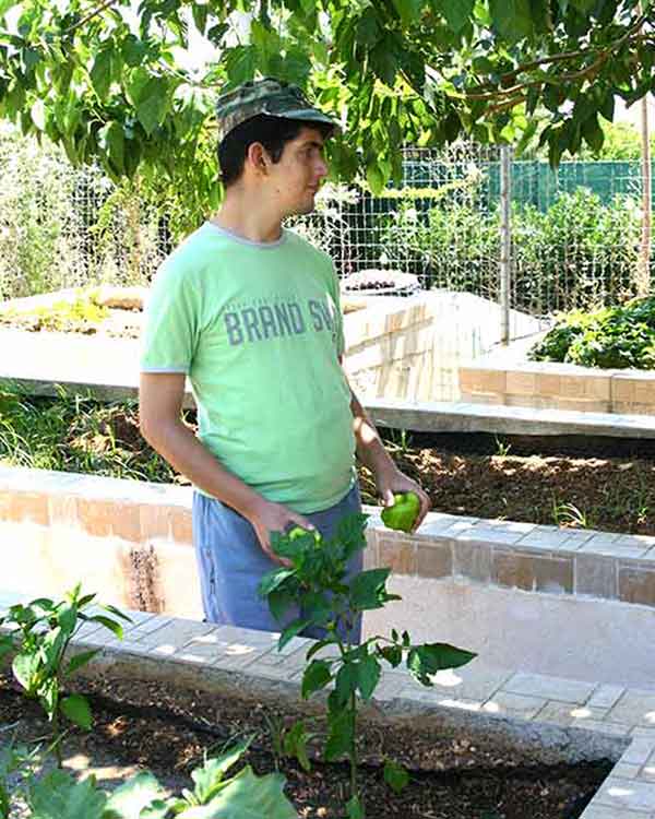 Ημέρα δραστηριοτήτων